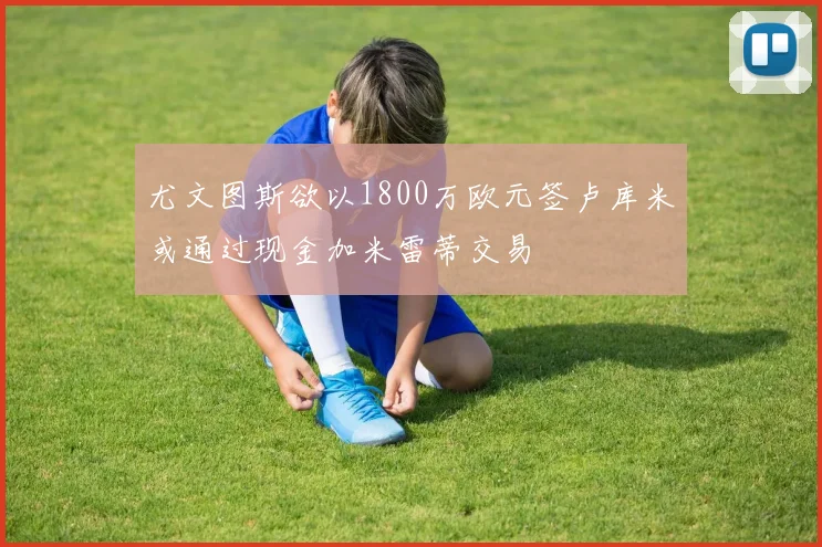 尤文图斯欲以1800万欧元签卢库米或通过现金加米雷蒂交易